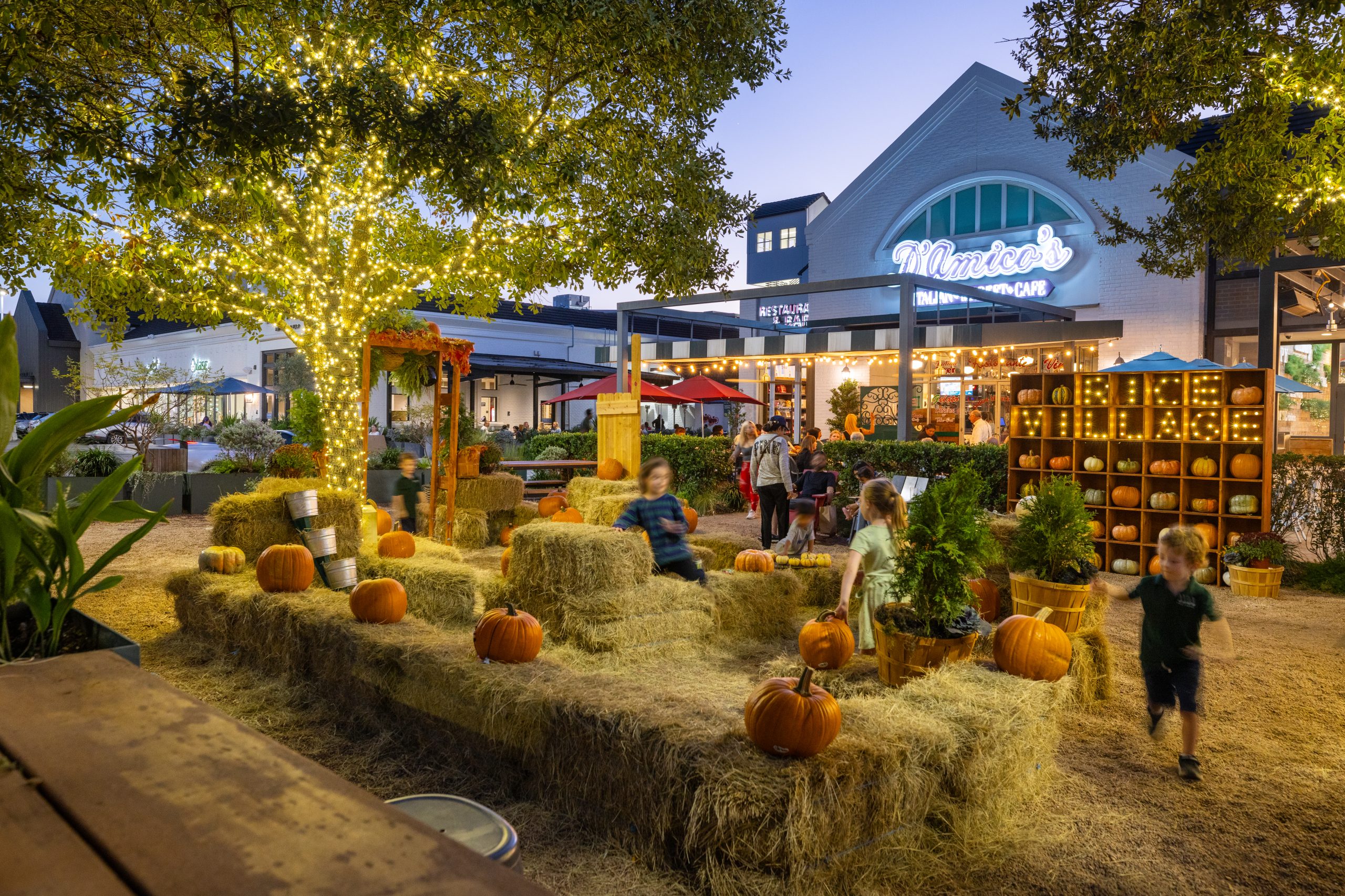pumpkin patch set-up orange pumpkins and restaurant facade.