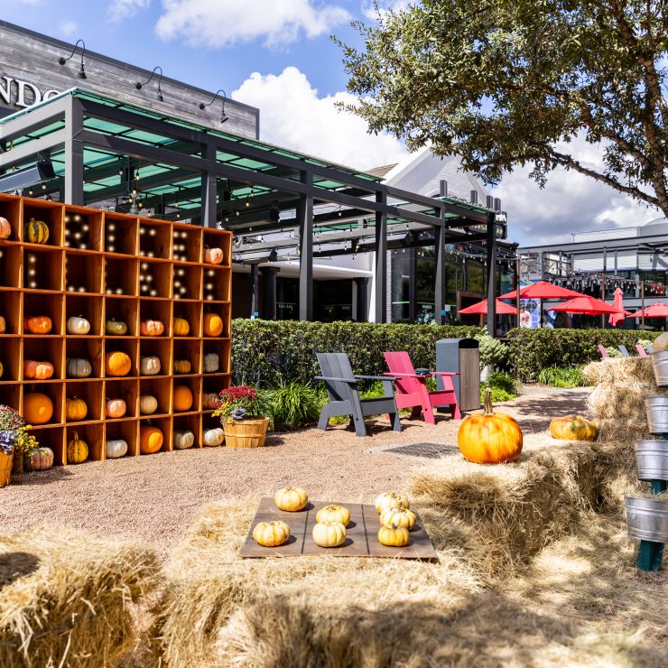 A beautiful day at the Rice Village fall festival, a free pumpkin patch event in Houston with festive hay bales and photo opportunities.