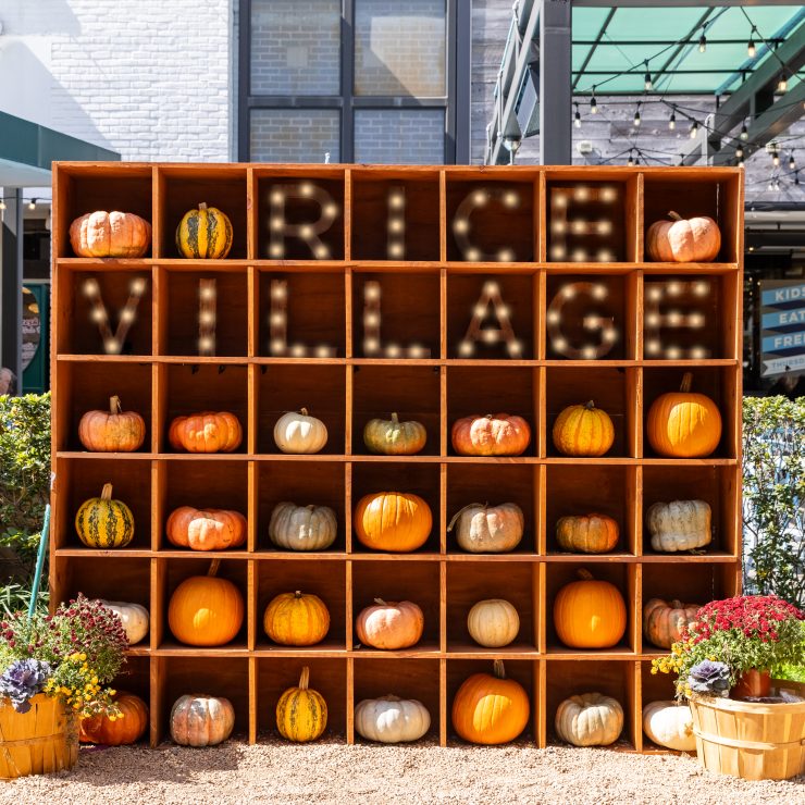 A festive pumpkin wall spelling out 
