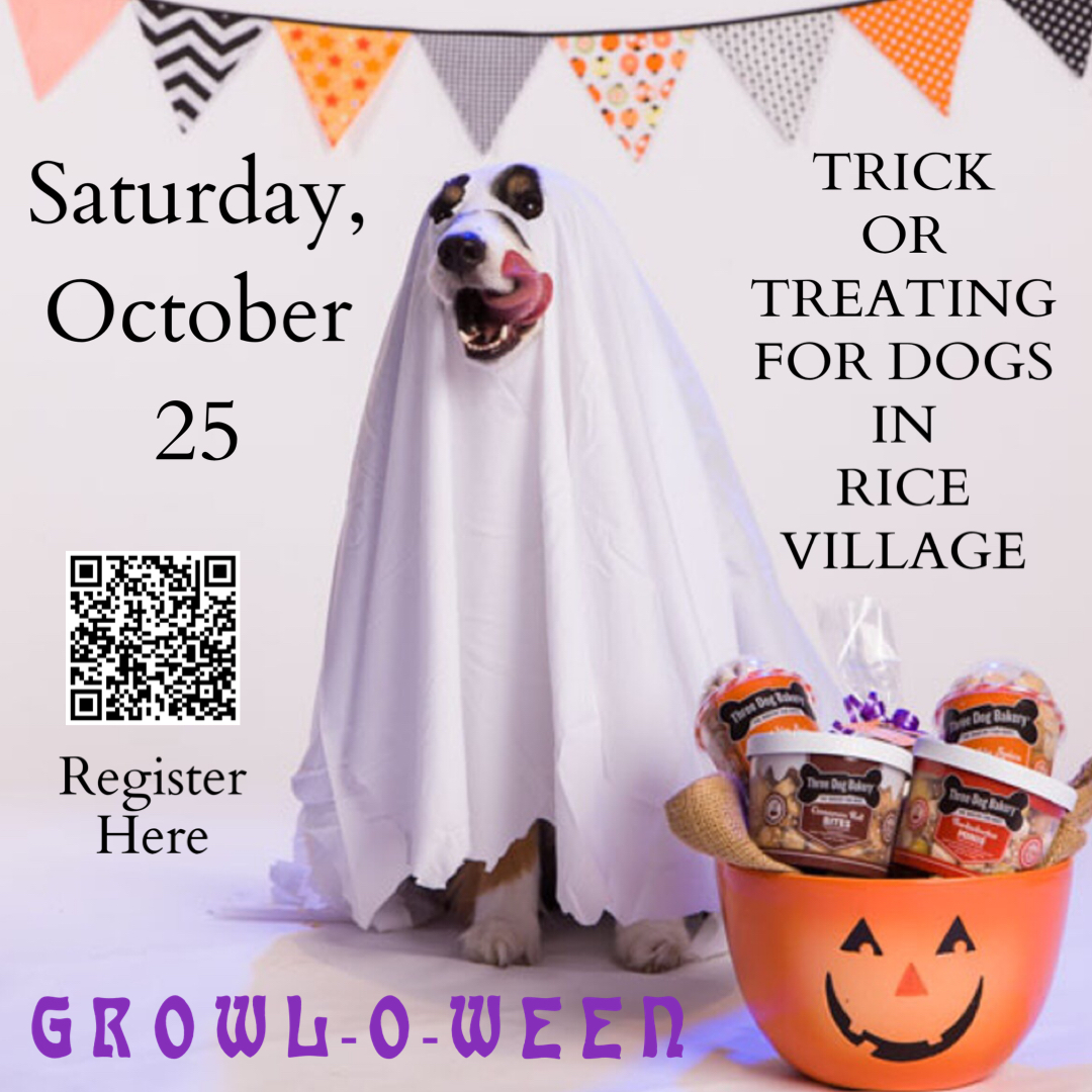 a poster with colorful Halloween flags, a dog and a trick-or-treating orange bucket
